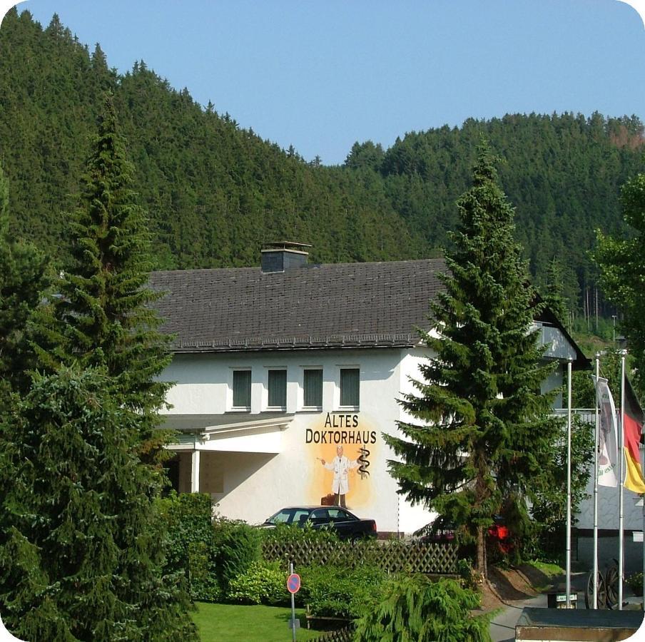 Altes Doktorhaus - Hotel Garni Willingen  Eksteriør bilde