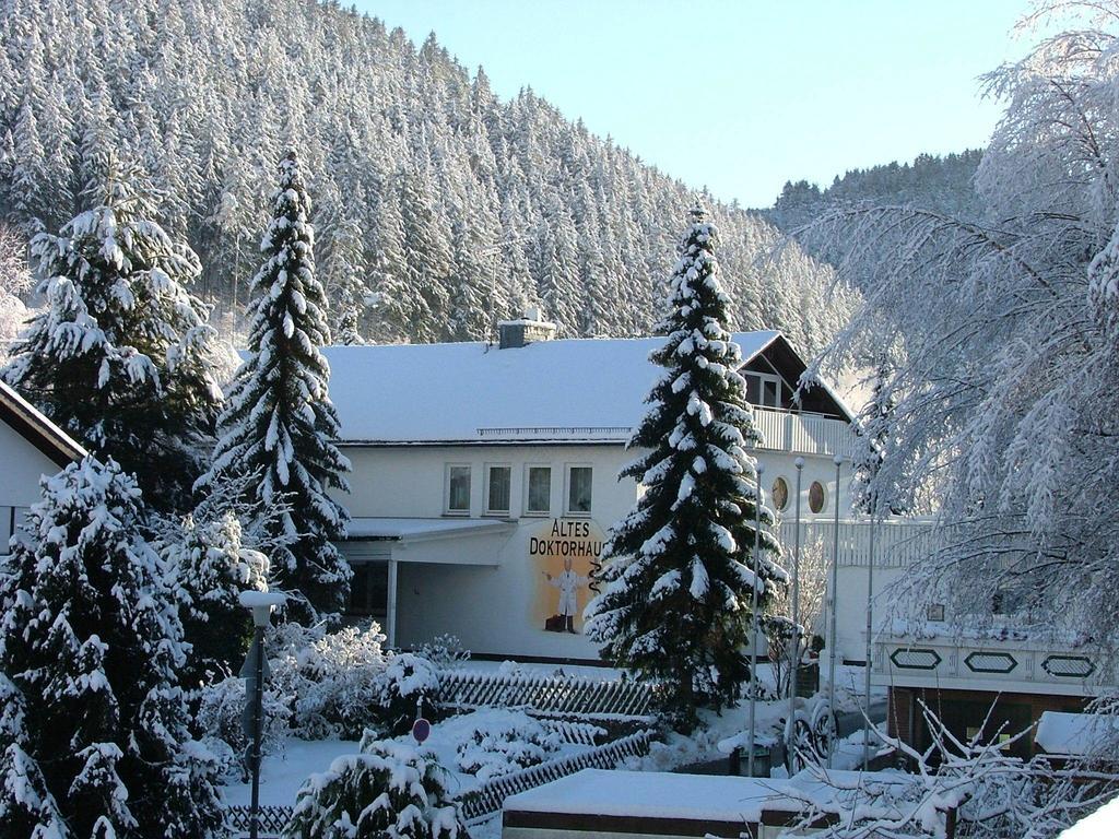 Altes Doktorhaus - Hotel Garni Willingen  Eksteriør bilde